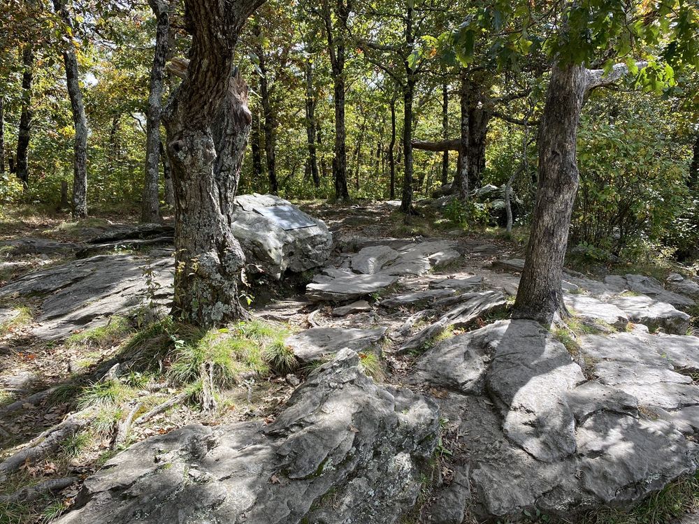 Best Hiking Trails in North Georgia: Springer Mountain