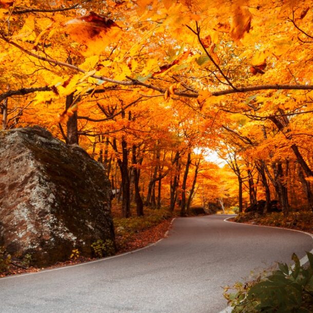 Autumn in Vermont