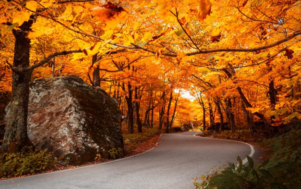 Autumn in Vermont