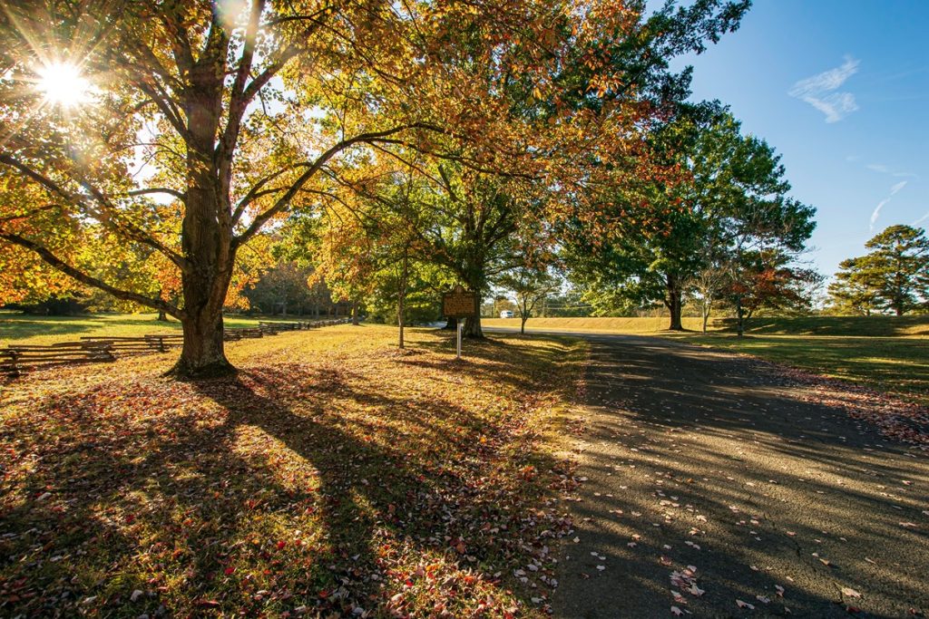 Staycation in Georgia: Escape to a Nature Haven