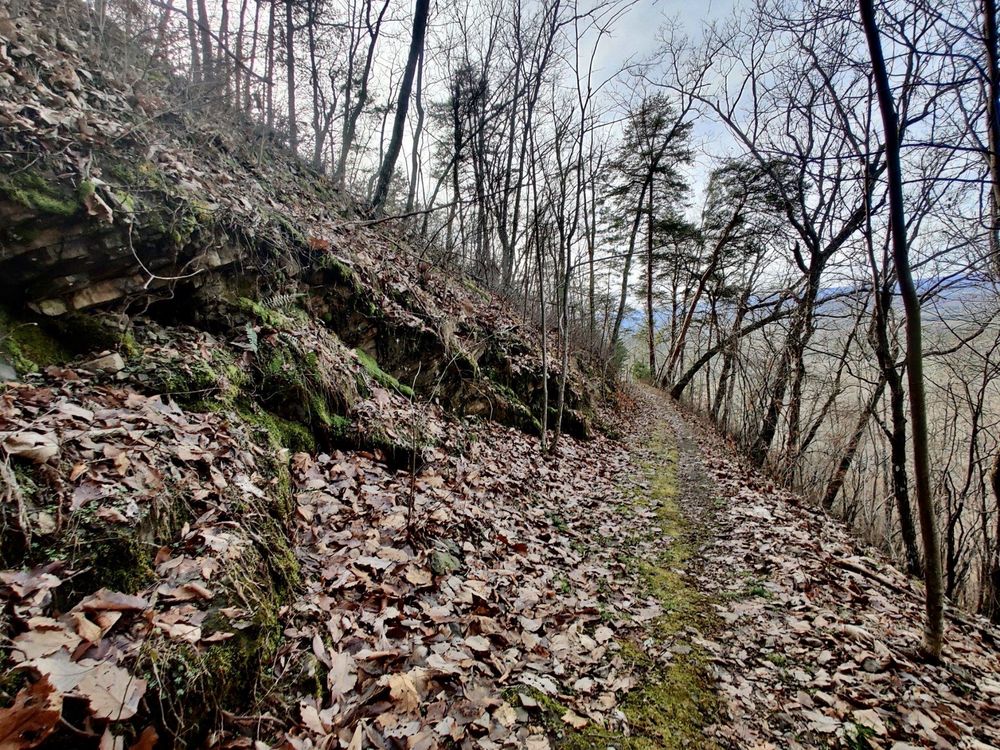 jenkins gap trail at sloppy state park