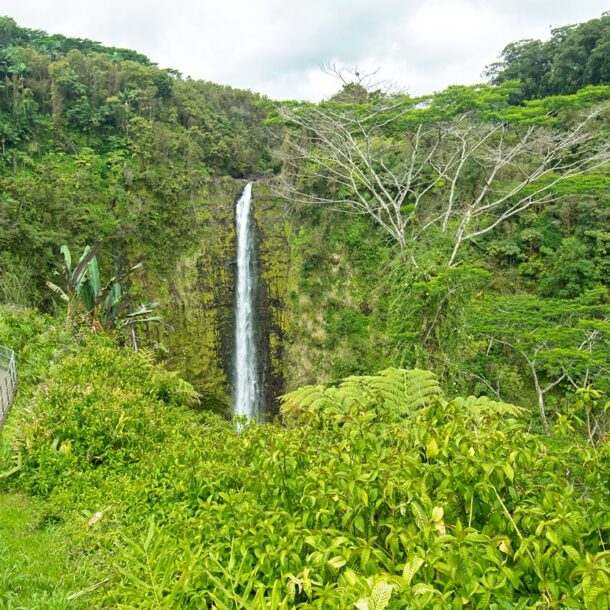 'Akaka Falls State Park