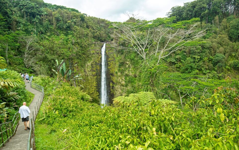 'Akaka Falls State Park