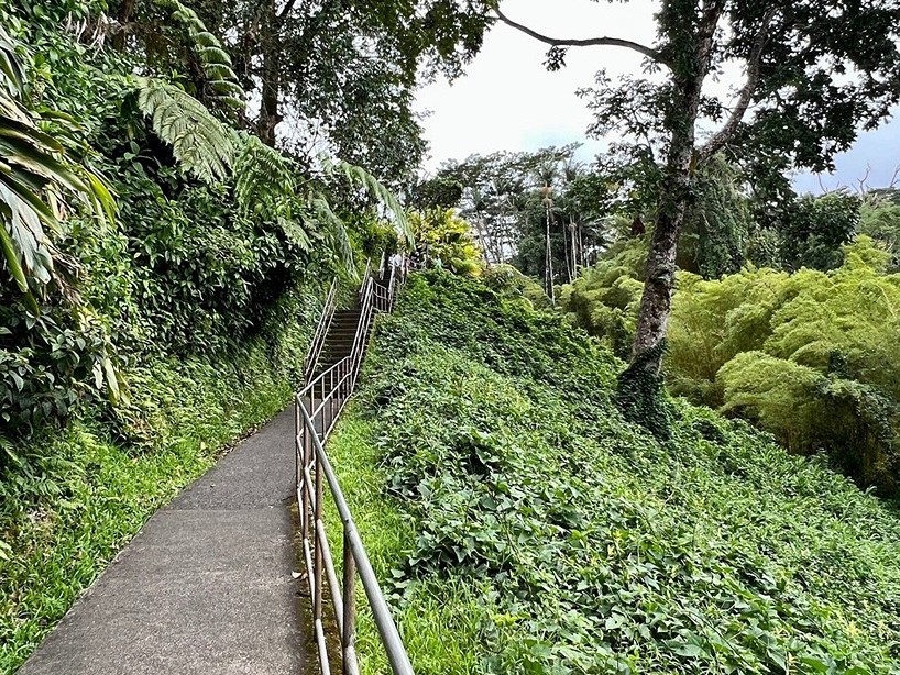 'Akaka Falls Loop Trail
