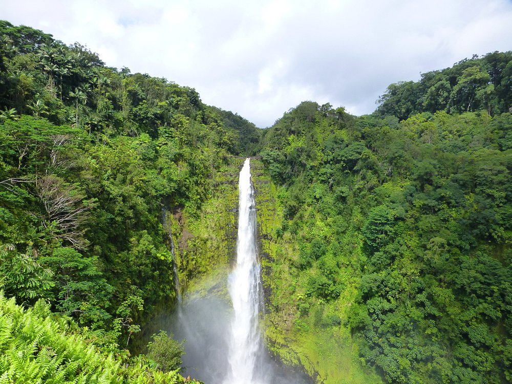 'Akaka Falls; big island hikes
