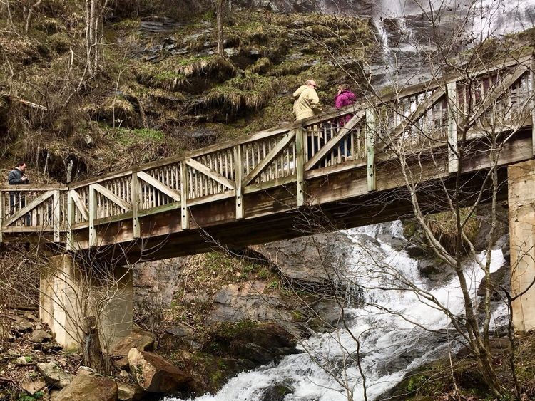 Amicalola Falls Bridge