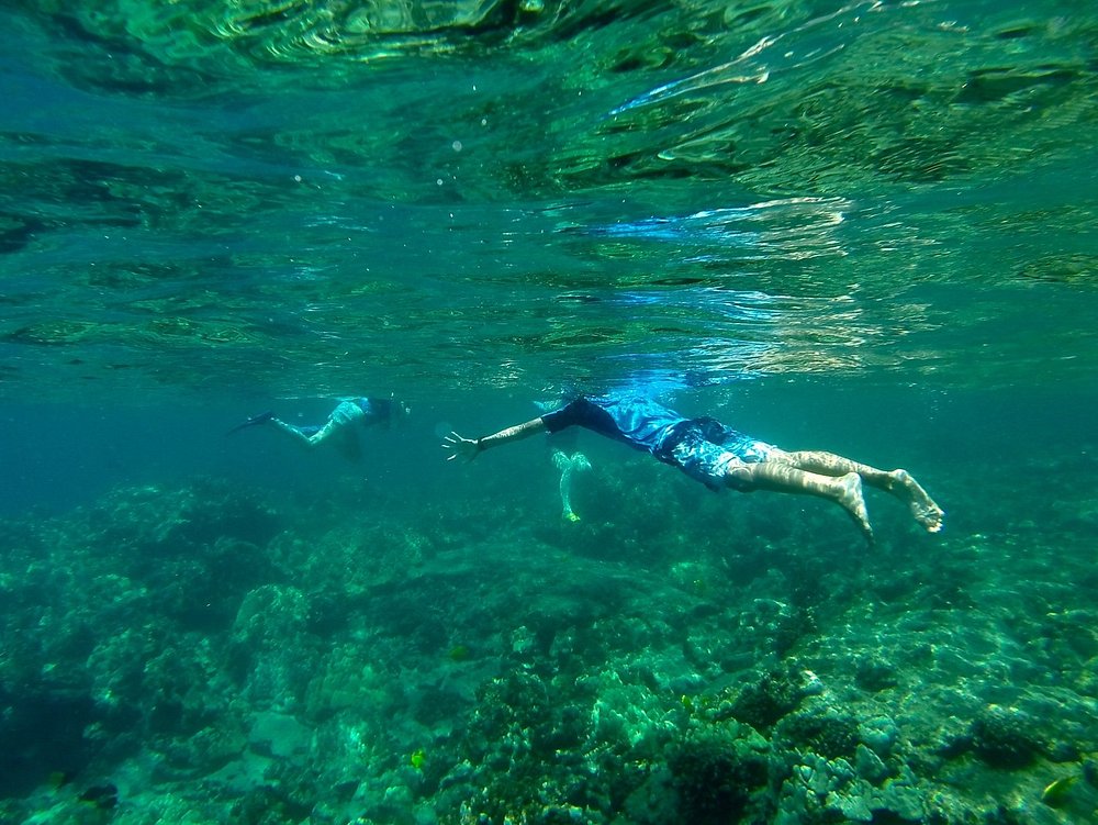 Kealakekua Bay snorkeling