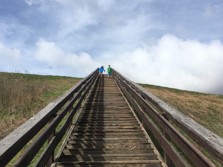 Etowah Indian Mounds Stairs