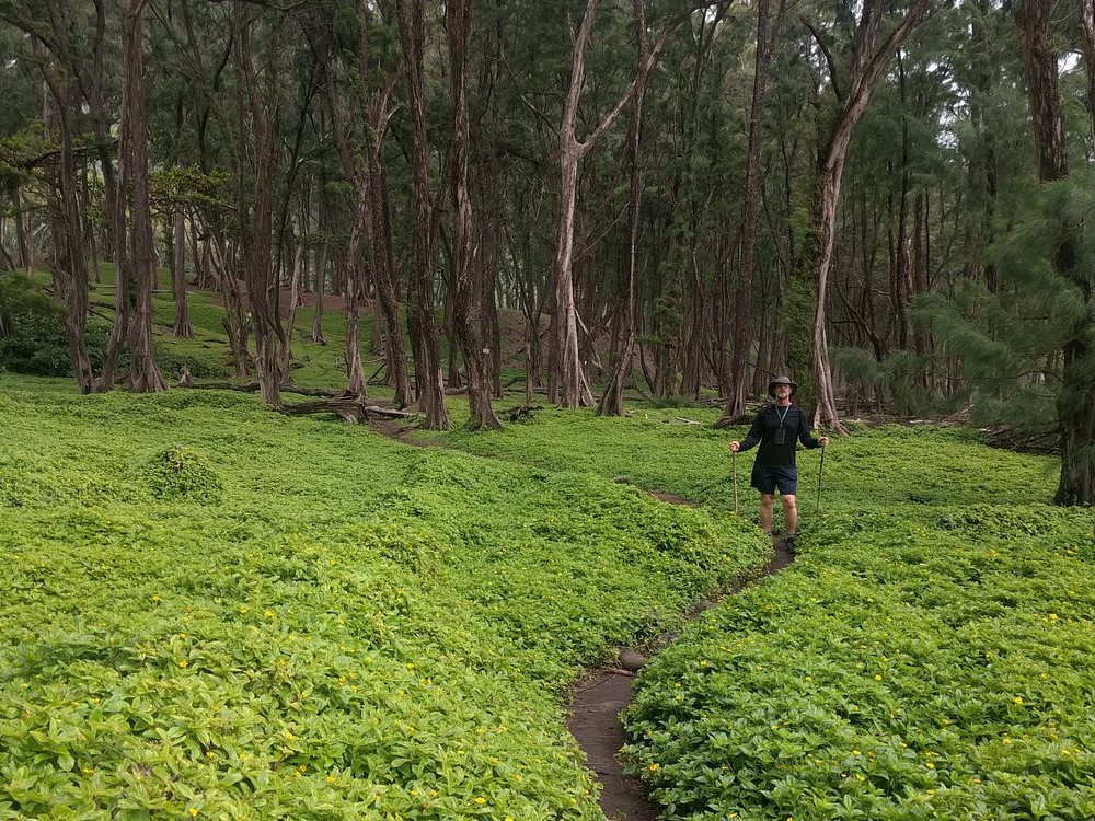 Pololū Valley Lookout Trail; big island hikes