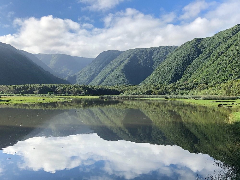 Pololū Valley Lookout
