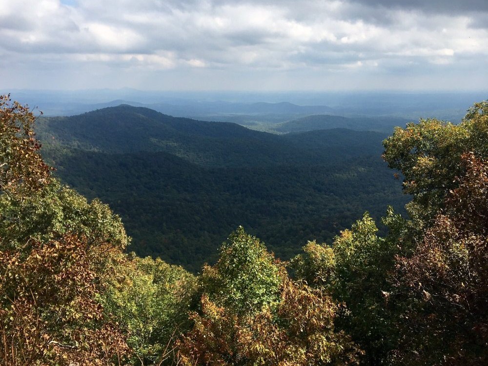 Springer Mountain Trail Views