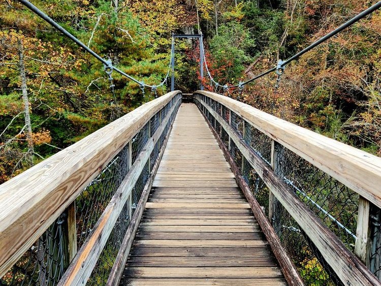 Things to Do in North Georgia: Tallulah Gorge Swinging Bridge