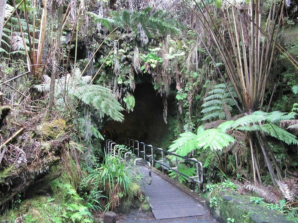 thurston lava tube entrance; big island hikes