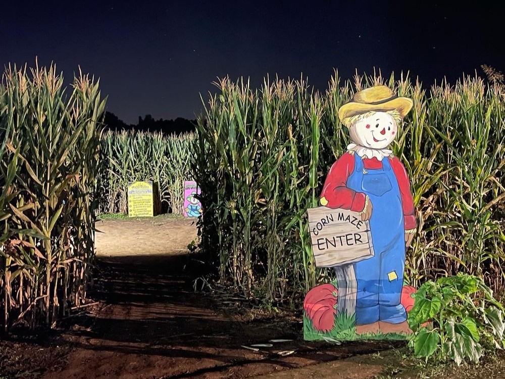 Things to Do in North Georgia: Uncle Shucks Corn Maze