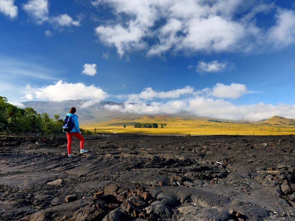 mauna loa lava fields
