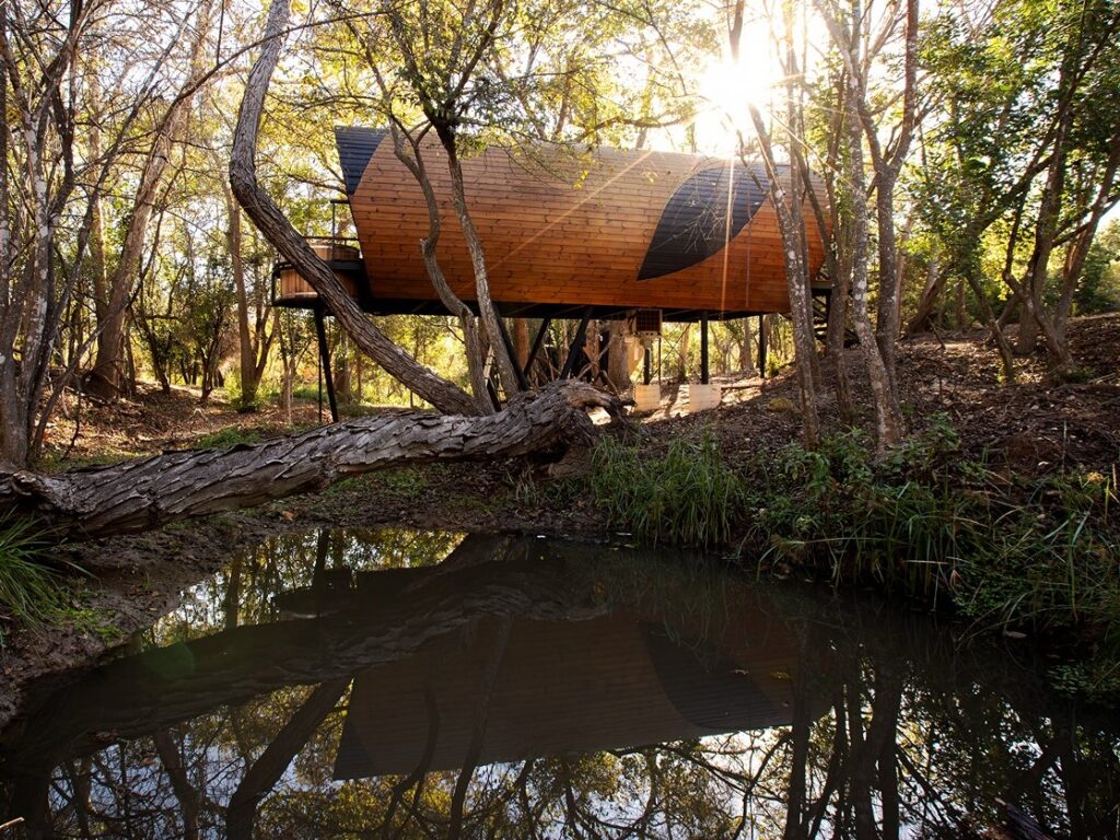 spyglass exterior; treehouse resorts