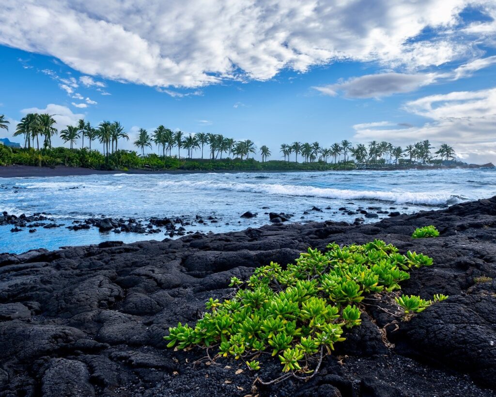 Best Tropical Fun Vacation Spots for Young Adults in the US