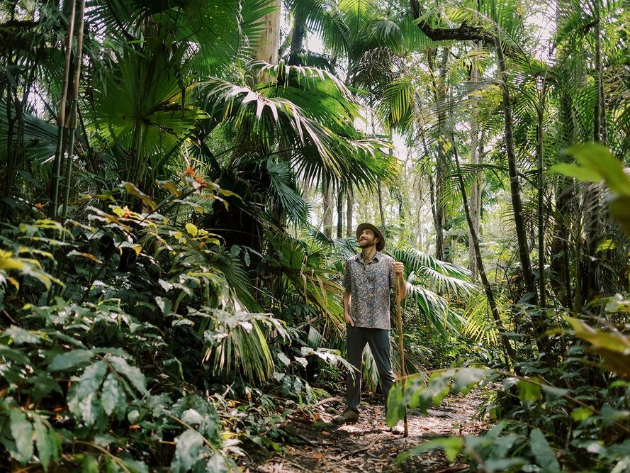Kona Cloud Forest Hike