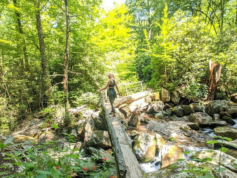 Ramsey Cascades Hike