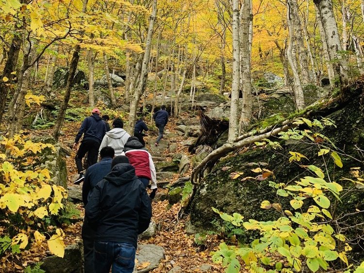 Fun Things to Do in August in Stowe: Sterling Pond Trail