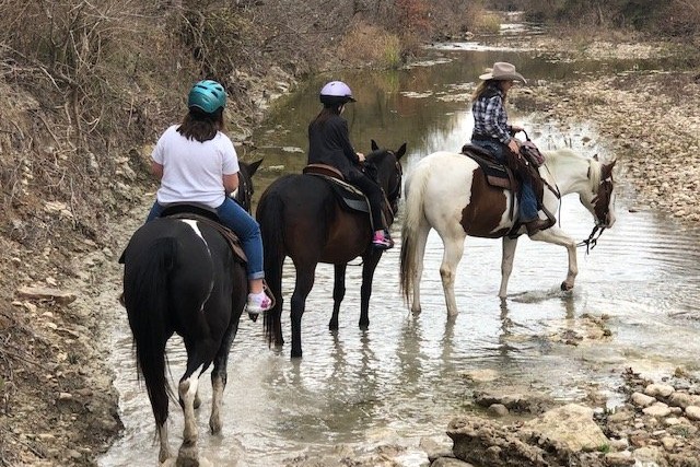 Horseback Riding in Wimberley Texas: Texas Trail Rides