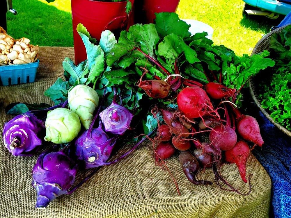 Fun Things to Do in August in Stowe: Produce at Stowe Farmers Market