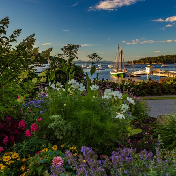 where to stay in bar harbor