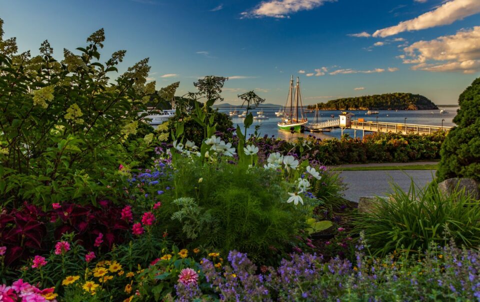 where to stay in bar harbor