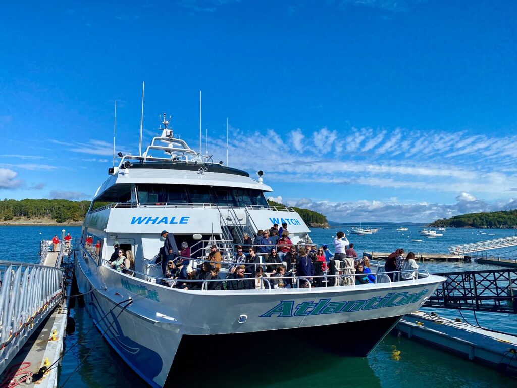 Bar Harbor Whale Watch Boat