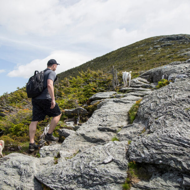 Fun Things to Do In August in Stowe