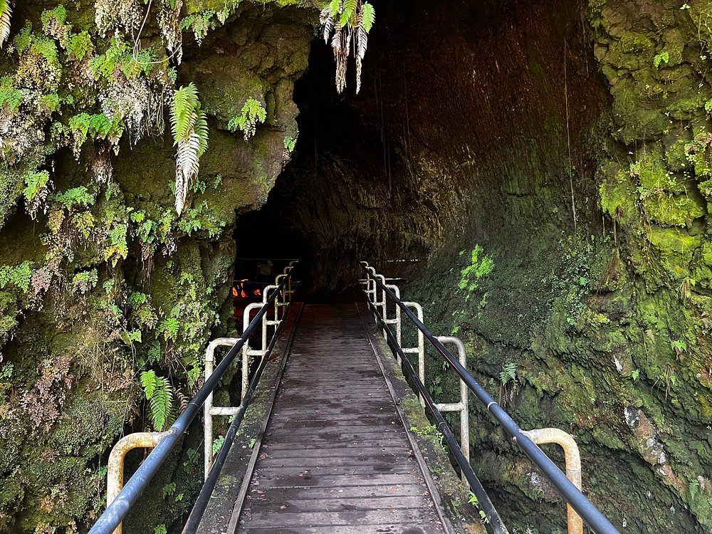 Thurston Lava Tube