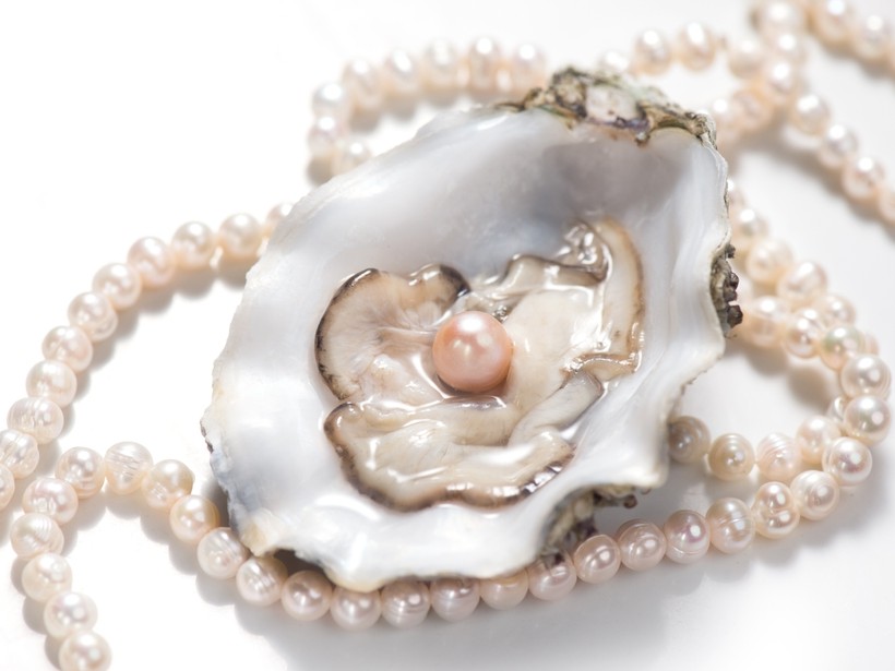 Bar Harbor Attractions: Bar Harbor Pick-a-Pearl