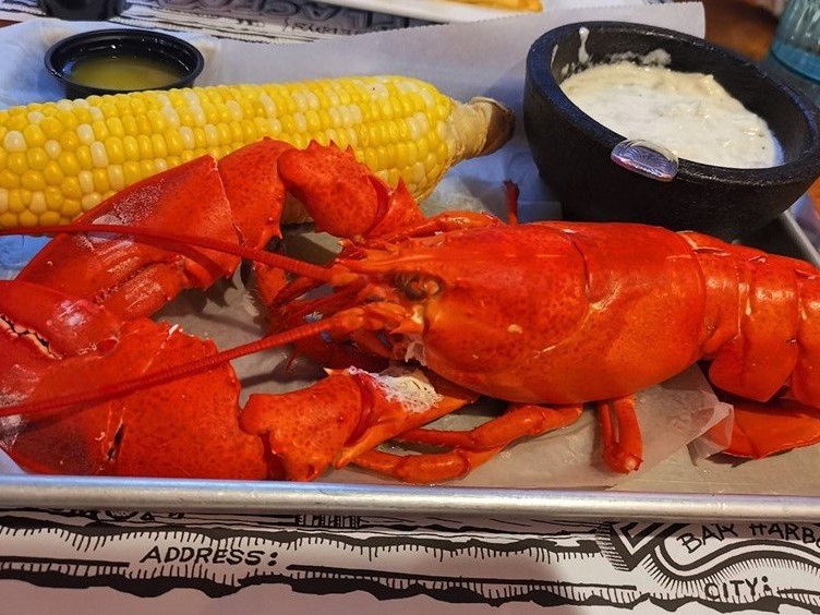 Bar Harbor Attractions: Geddy's