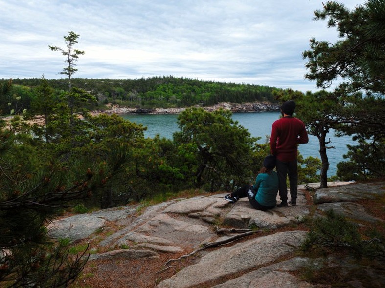 Ocean Path, Acadia National Park