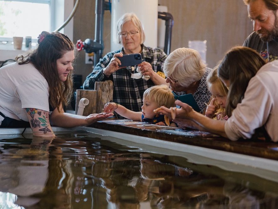 Bar Harbor Attractions: Oceanarium and Education Center