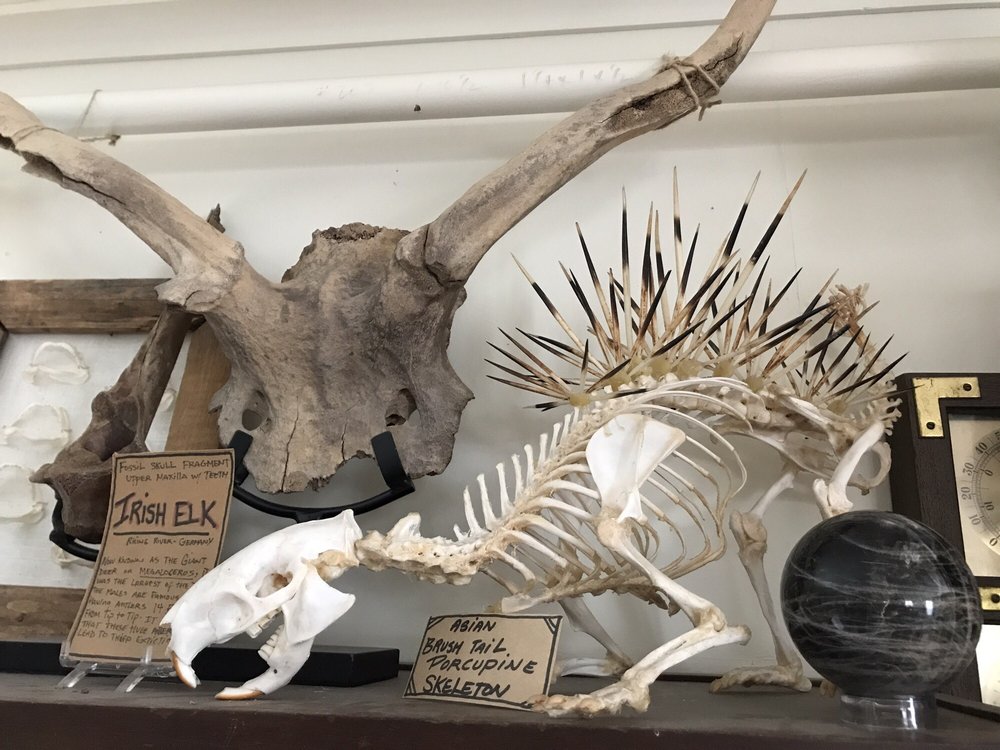 Bar Harbor Attractions: Rock & Art Shop