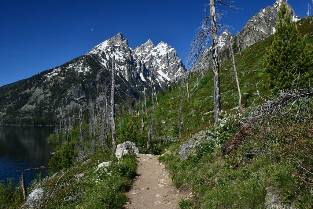 Best States for Hiking: Wyoming (Cascade Falls Trail)