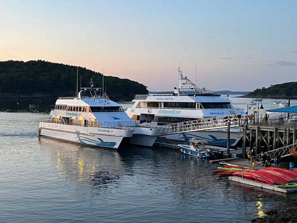 Bar Harbor Whale Watch Co, bar harbor things to do