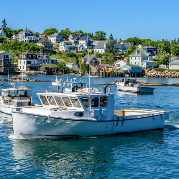 bar harbor things to do