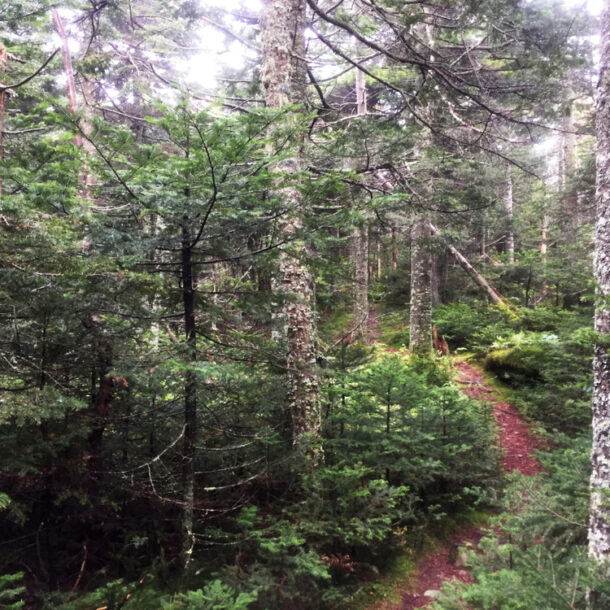 Best States for Hiking