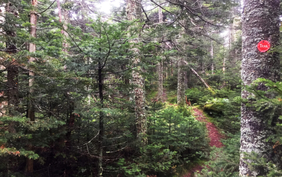 Best States for Hiking