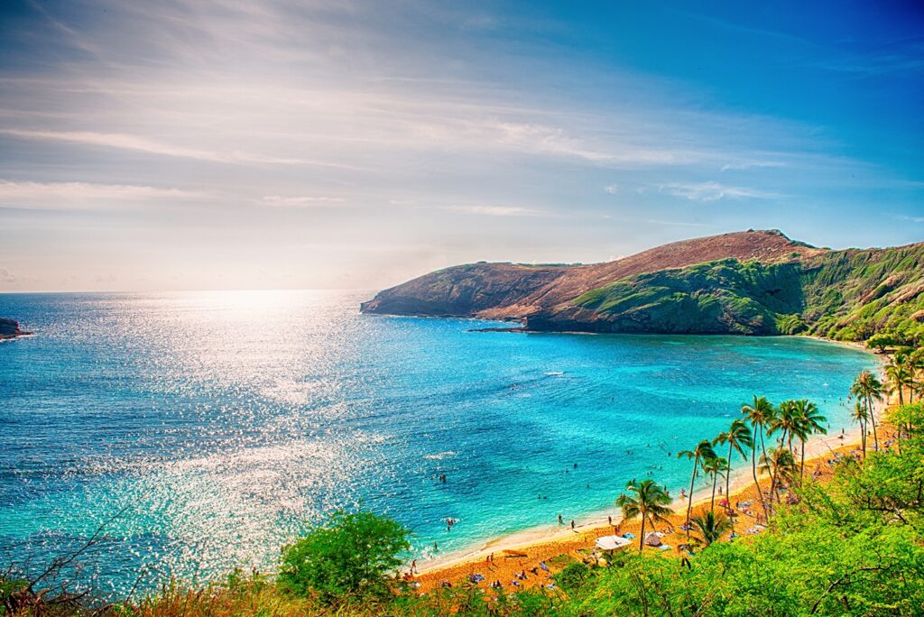 Beach on the Island of Hawaii