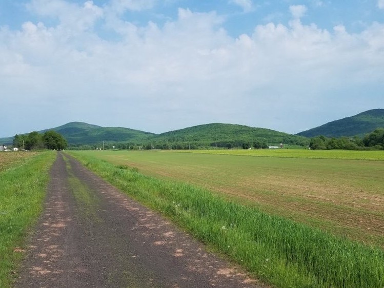 Catskills Scenic Trail