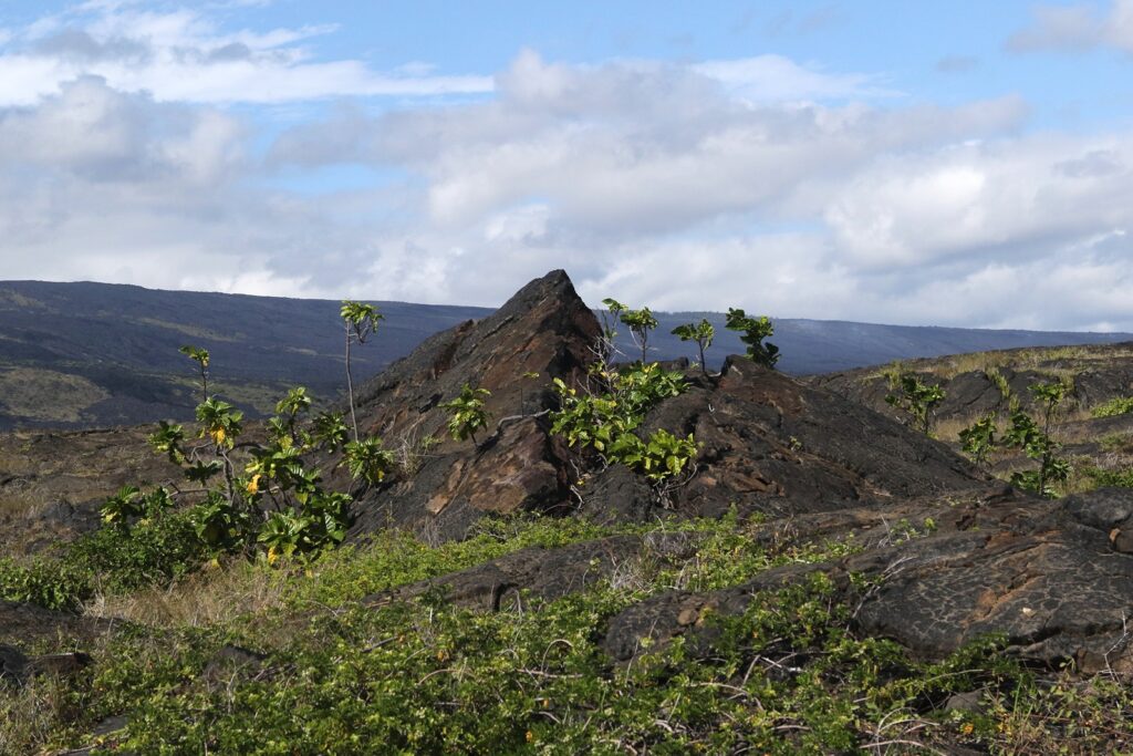 Lava Formation Near the End of Chain of Craters Road in Hawaii Volcanoes National Park
