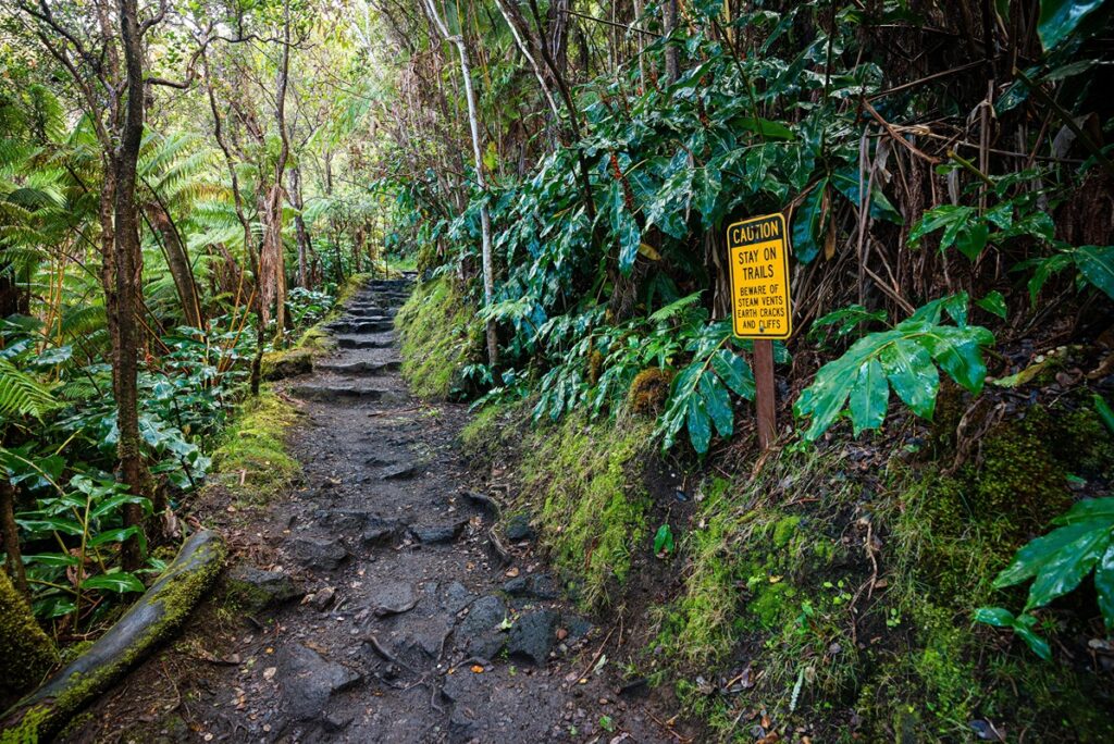 View from Hiking Trail in Hawaii Volcanoes National Park
