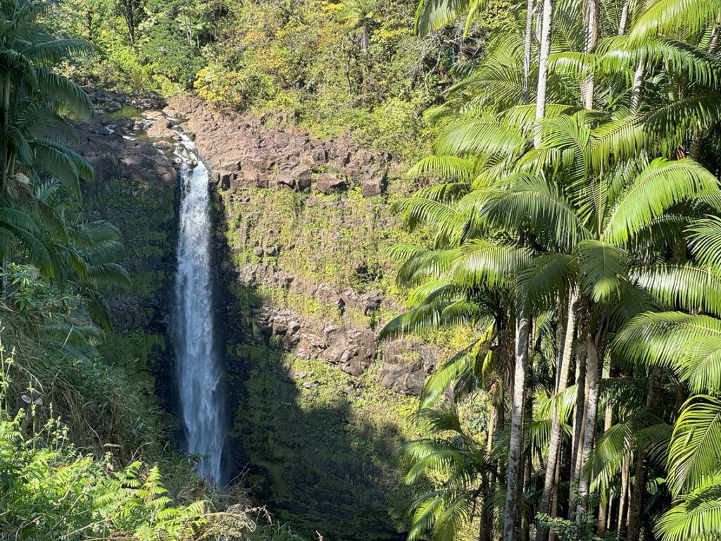 View from Zipline over KoleKole Waterful on the Big Island