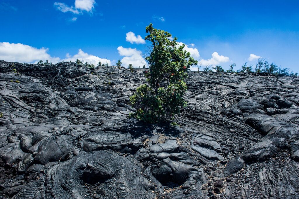Volcanic Lava Stream at Hawaii Volcanoes National Park
