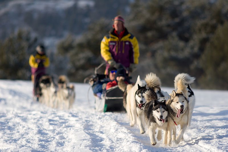 Winter Adventures in Jackson, Wyoming
