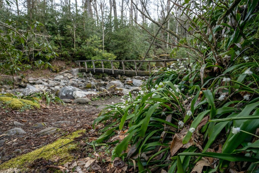 Wooden Bridge over Creek in the Smoky Mountains