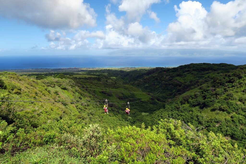 Ziplining over the Hawaiian Rainforest